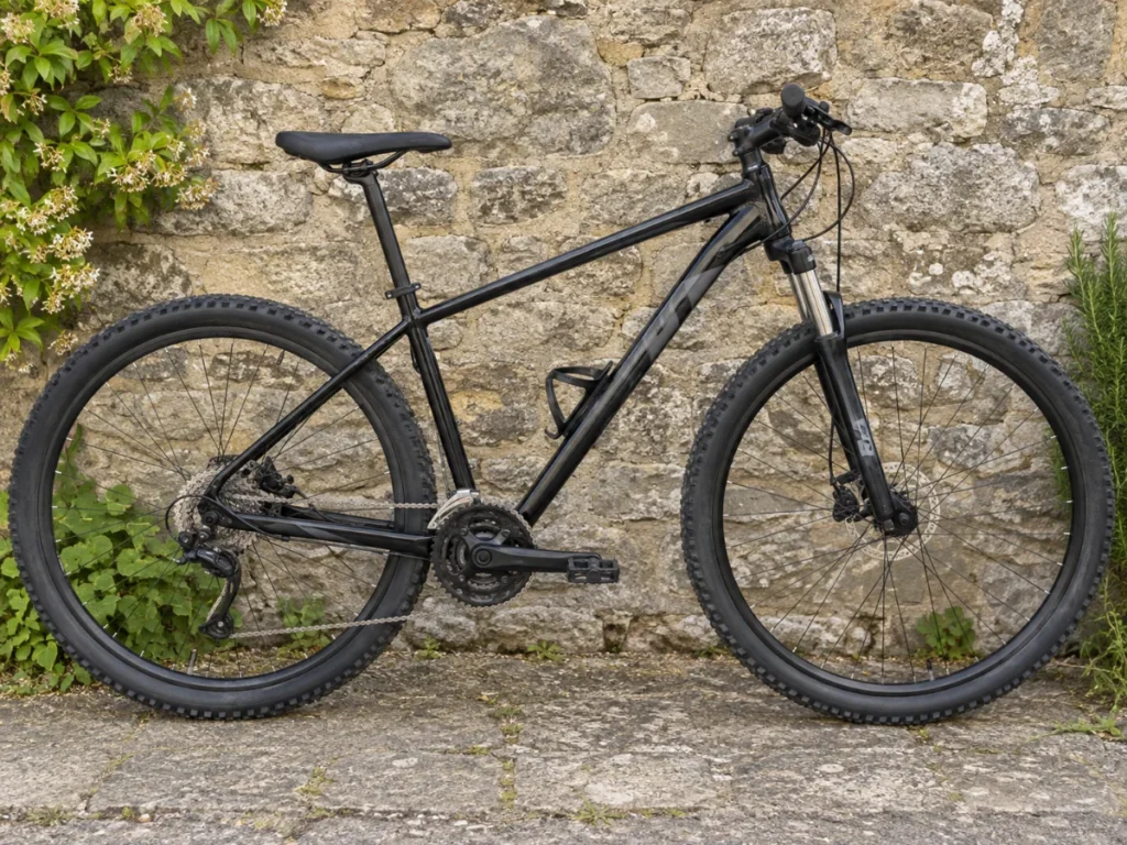 Mountain bike